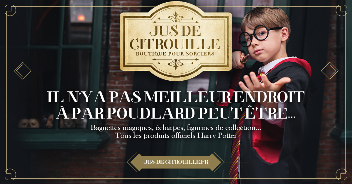 Trousse avec accessoires pour cheveux Gryffondor Harry Potter - Jus de  citrouille - Boutique pour sorciers