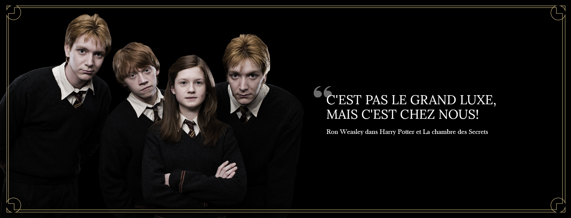 catégorie famille Weasley